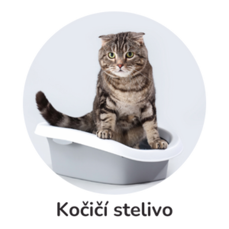 Kočičí stelivo
