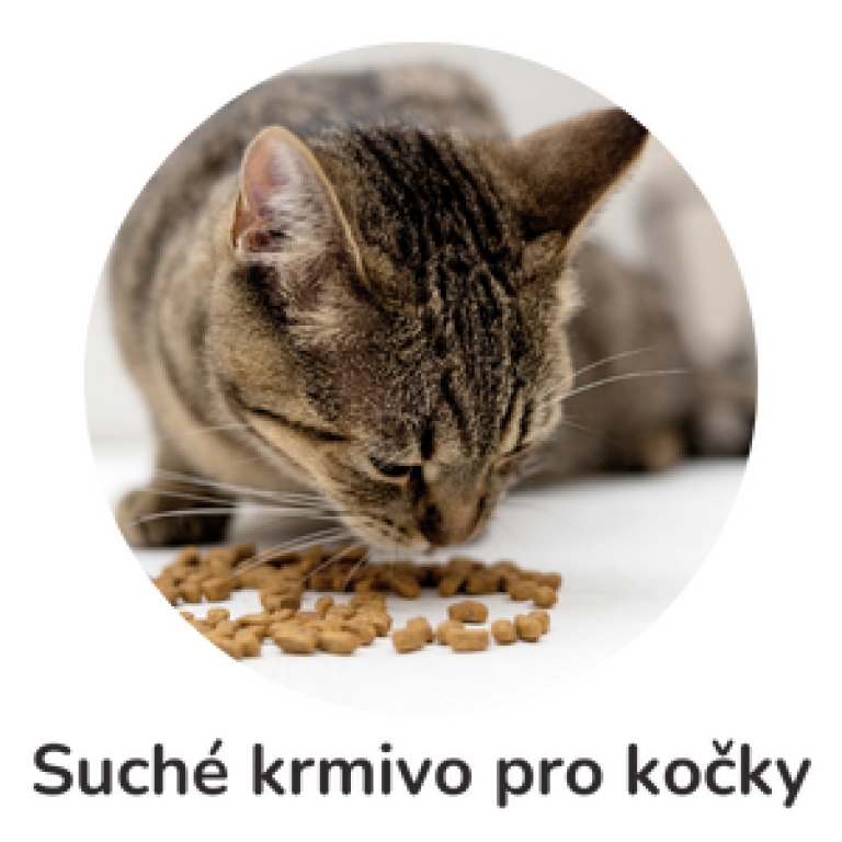 Suché krmivo pro kočky