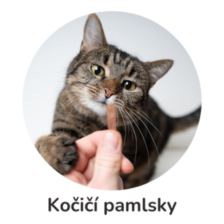 Kočičí pamlsky