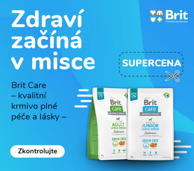 Brit