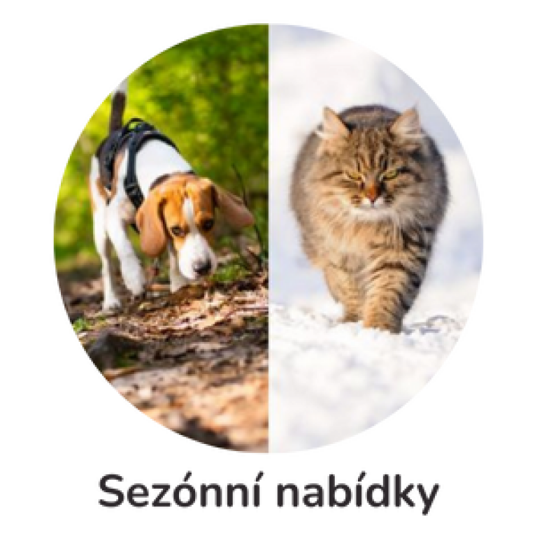 Sezónní nabídky