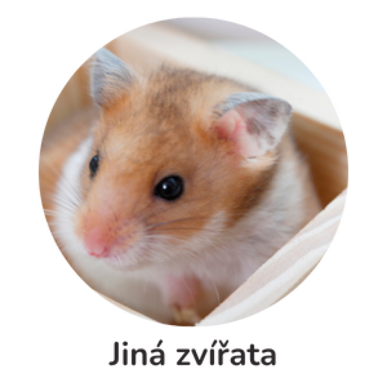 Jiná zvířata