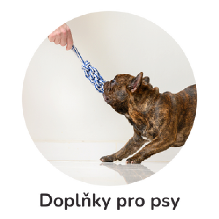 Doplňky pro psy