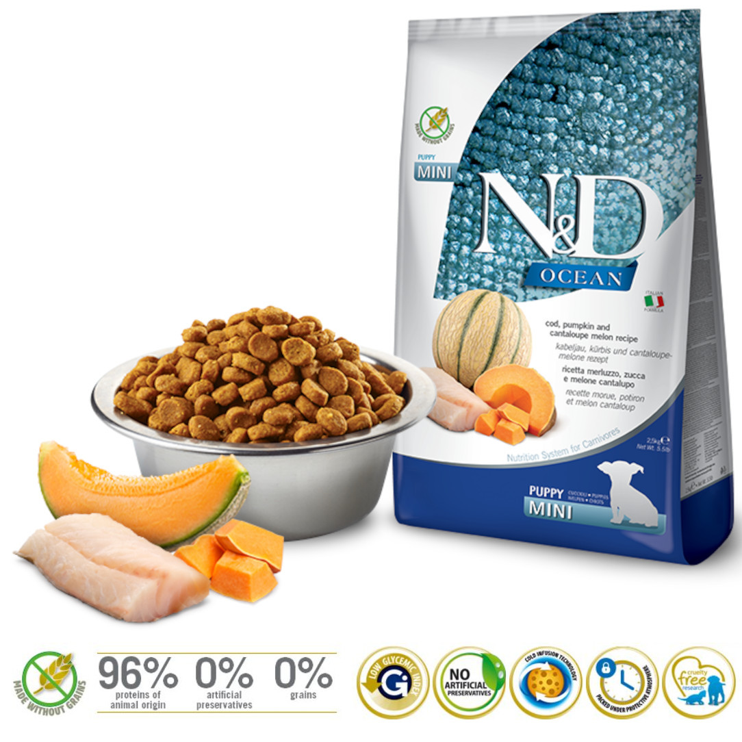 FARMINA N&D Ocean Dog Cod, Pumpkin, Cantaloupe Melon Puppy Mini - suché krmivo pro psy - 2.5 kg - foto 1
