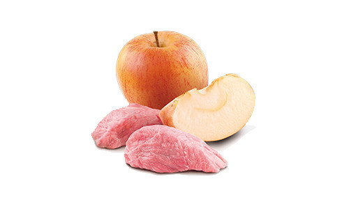FARMINA N&D Prime Boar & Apple Adult mokré krmivo pro psy - 285g - foto 3