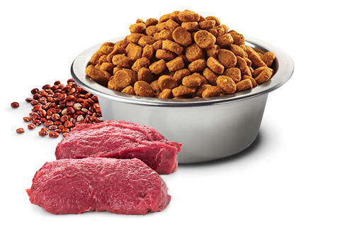 FARMINA N&D Quinoa Dog Skin&Coat Venison&Coconut Adult Medium&Maxi - suché krmivo pro psy - 7 kg - foto 2