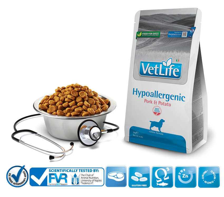 FARMINA Vet Life Hypoallergenic Pork & Potato - suché krmivo pro psy - 2 kg - foto 2