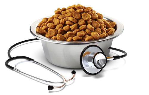 FARMINA Vet Life Hypoallergenic Fish & Potato suché krmivo pro psy - 12 kg. - foto 4