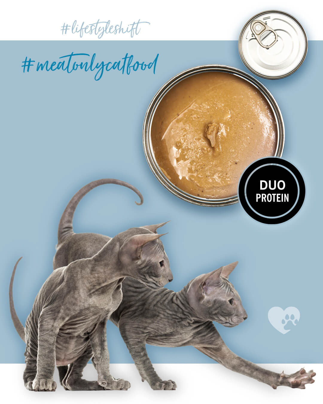 3COTY Turkey with chicken For kittens - mokré krmivo pro kočky - 24x80g - foto 5
