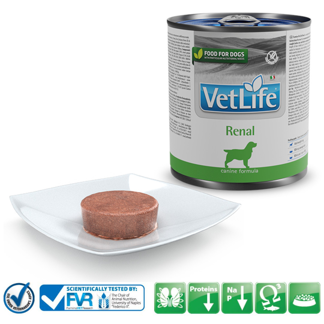 FARMINA Vet Life Canine Renal - mokré krmivo pro psy - 300 g - foto 2