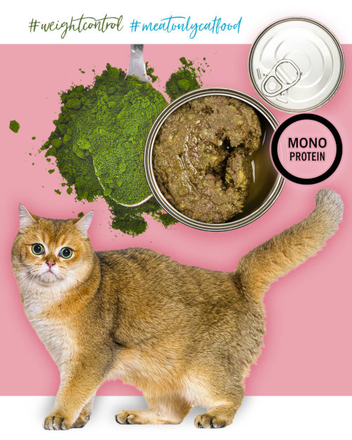 3COTY Turkey with chlorella Sterilised and overweight cats - mokré krmivo pro kočky - 80g - foto 5