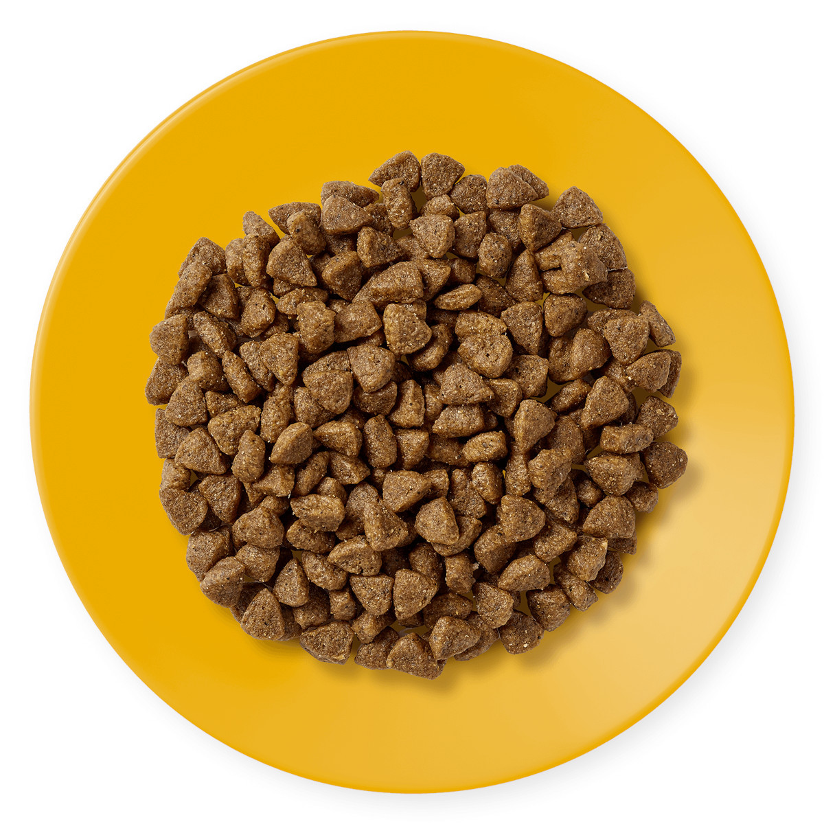APPLAWS Kitten Chicken - suché krmivo pro kočky - 400g - foto 2