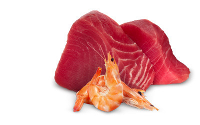 FARMINA N&D Cat Natural Tuna&Shrimp - vlhké krmivo pro kočky - 140 g - foto 3