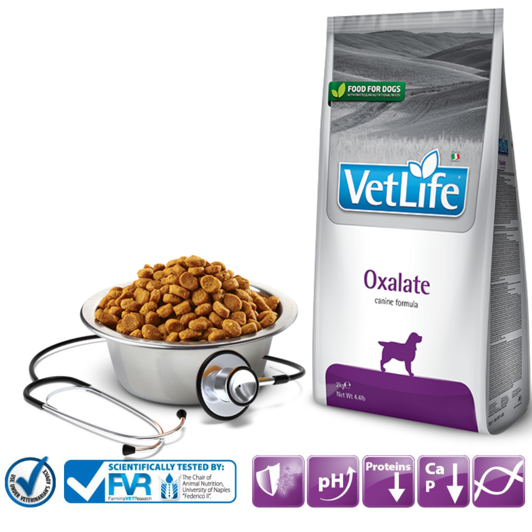 FARMINA Vet Life Oxalate Dog - suché krmivo pro psy - 2 kg - foto 2
