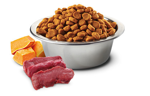 FARMINA N&D Pumpkin Cat Venison and Apple Adult - suché krmivo pro kočky - 300 g - foto 3