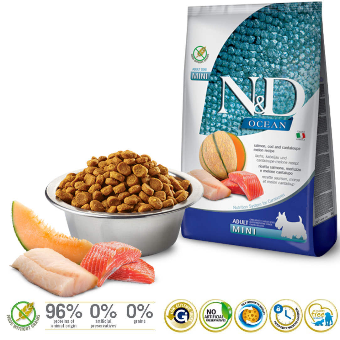 FARMINA N&D Ocean Dog Salmon, Cod, Cantaloupe, Melon Adult Mini - suché krmivo pro psy - 800 g - foto 1