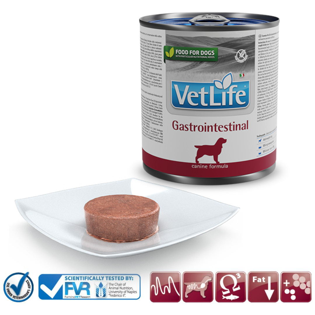 FARMINA Vet Life Gastrointestinal – mokré krmivo pro dospělé psy 300g - foto 2