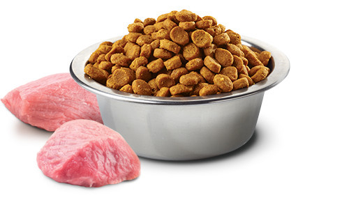 Suché krmivo pro kočky - FARMINA N&D CAT PUMPKIN LAMB&BLUEBERRY ADULT 300g - foto 3