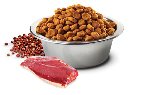 FARMINA N&D Quinoa Urinary Duck suché krmivo pro kočky - 5kg - foto 3